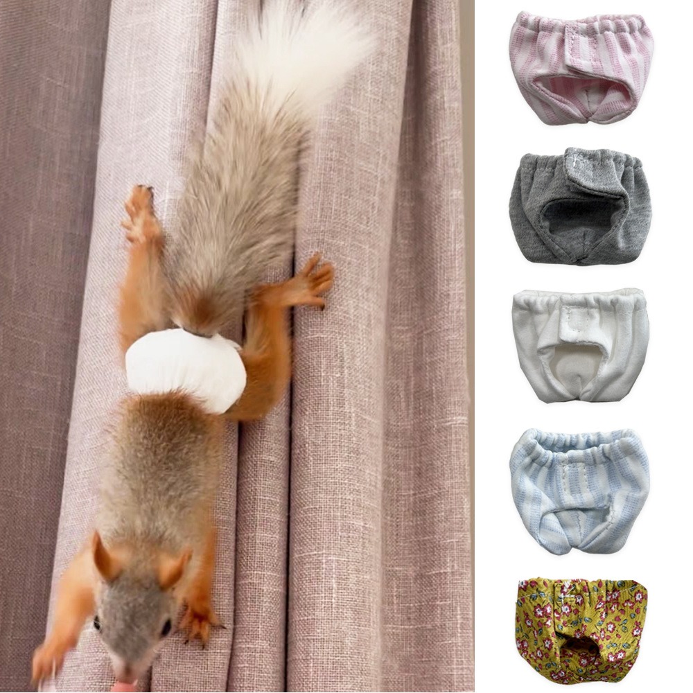 Absorbent Squirrel Diapers Lea - Period Panty Absorbent recension och pris